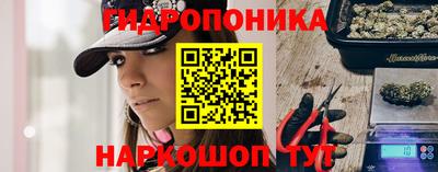 бошки Тара