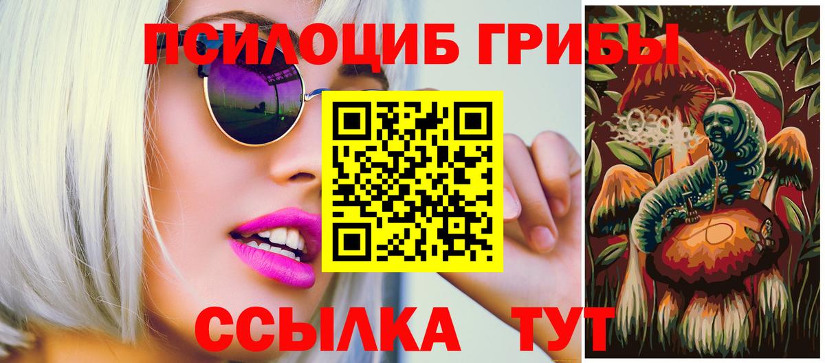 Псилоцибиновые грибы прущие грибы  хочу наркоту  Магнитогорск  Вход с VPN 